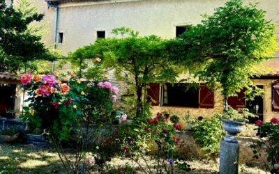 Une bastide provençale du XIXe siècle : un siège qui incarne l’âme interculturelle de Phénicia Conseil