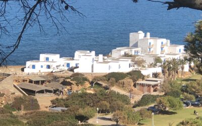 Comment réussir une expatriation professionnelle à Alger : guide complet pour une intégration réussie en Algérie