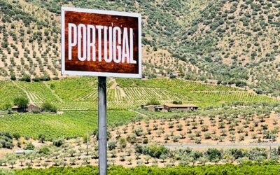 Les projets économiques des entreprises portugaises en Afrique : opportunités et besoins en ressources humaines