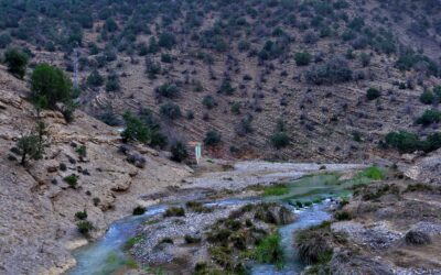 Water, Desalination and Environmental Services in Morocco: Opportunities for European Companies and Recruitment Challenges Towards 2030
